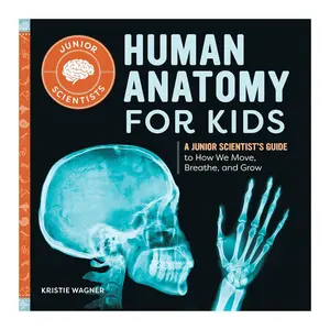 Human Anatomy for Kids Book Learn How the Body Works, Science for Children - Paperback