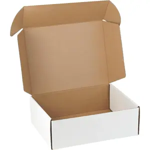 12"x9"x4" Shipping Boxes Set of 5, White Corrugated Cardboard Literature Mailer for Shipping Packing Mailing