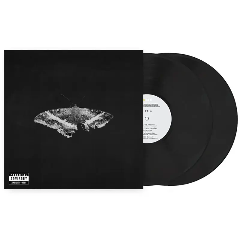 KENDRICK LAMAR VINYL LOVE レコード Kendrick lamar love vinyl - TikTok Shop