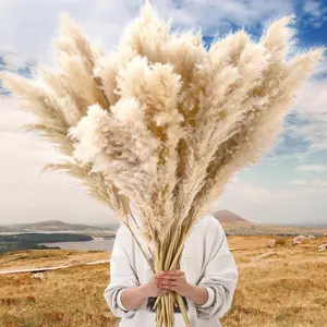 40" Inch 40 Stems Pampas Grass Decor, Natural Dried Pampas Bouquet for Wedding, Baby Shower, Add a Boho Touch to Your Space, Ideal for Floral Arrangements, Floor Vases, Home Decorations