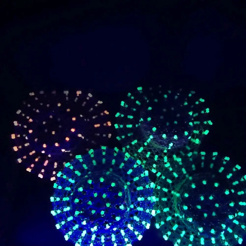 LIMITED EDITIONS 1 OF 1'S Unique Firework Display with Multi-Color Glow