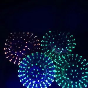LIMITED EDITIONS 1 OF 1'S Unique Firework Display with Multi-Color Glow