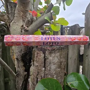 Lotus Incense