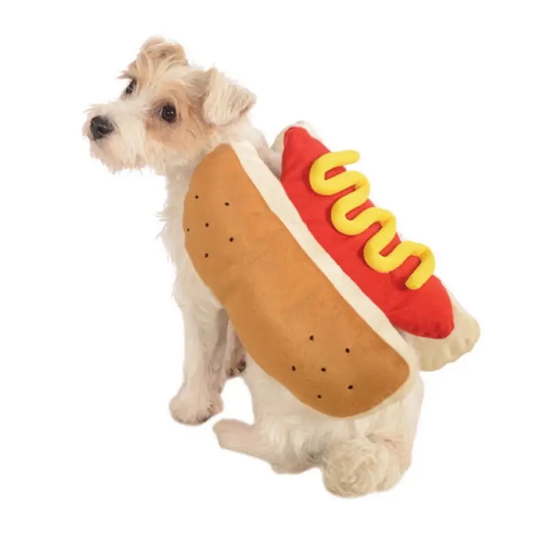Pet halloween costume