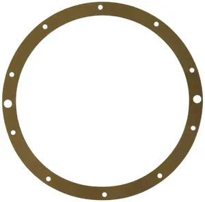 Hayward Gasket | SPX0506D