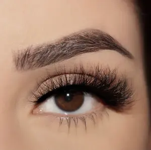 "Ariana Lash" 3D False Eyelashes,Cat Eye Effect, Reusable 20 Wears, Lightweight Lash, Luxury, 1 Pair of Strip Eyelashes (Glue Not Included)