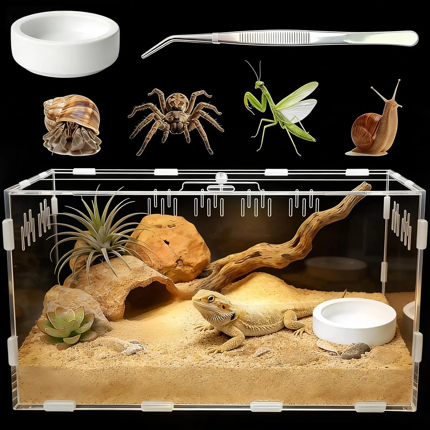 Reptile Terrarium, Tarantula Enclosure with Magnetic Door, Easy-Clean Reptile Tank for Spider, Insect, Gecko, Mantis, Frog, Snail, Isopods- ." X." X . "(Tweezer and Bowl Included)