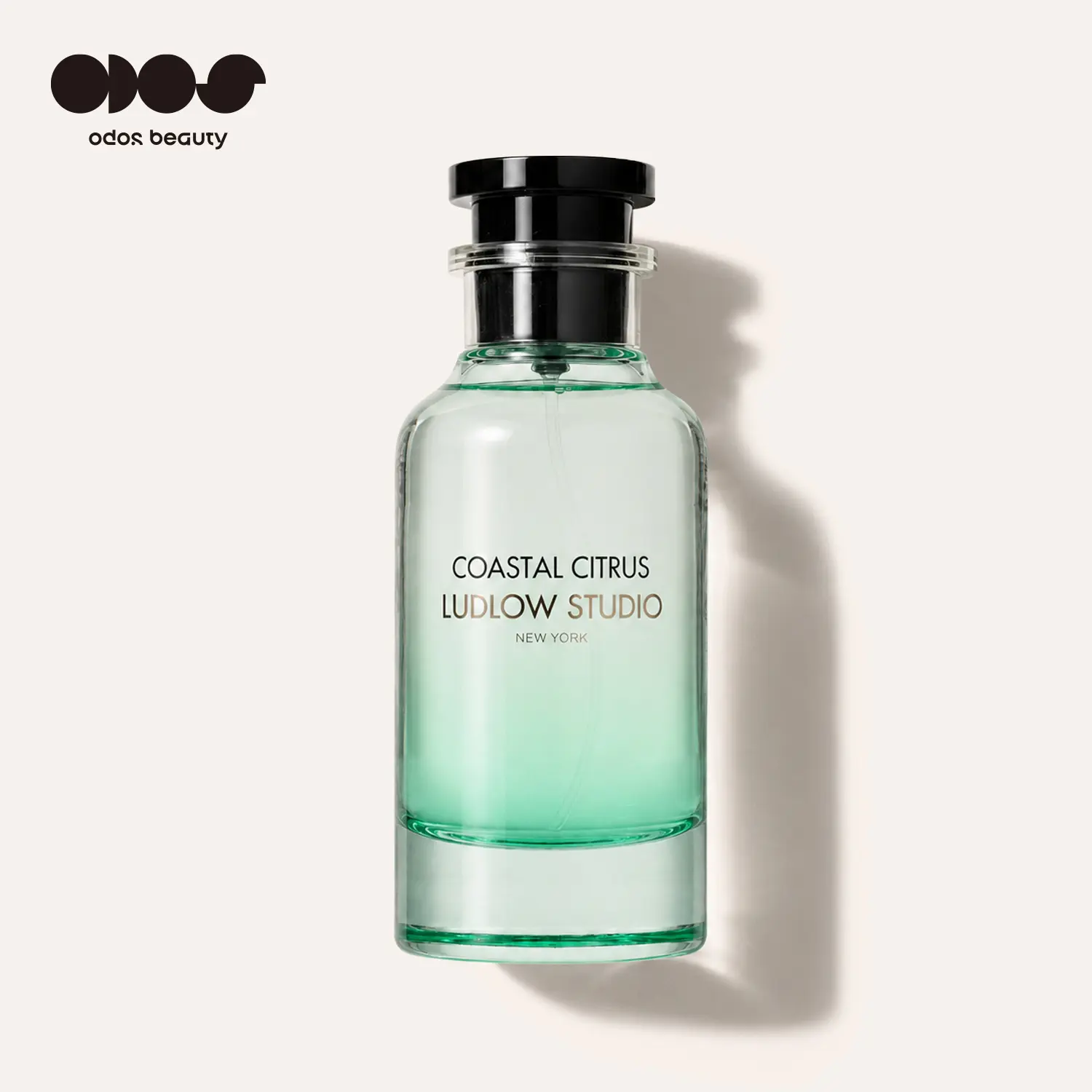 Ludlow Studio Coastal Citrus Parfum, Aromatic Fruity EDP - 20% Fragrance Concentration, 100ml, Notes of Citrus, Apricot, Lemon, May Rose, Fig, Vacation Vibe Fragrance, Clean Citrus Fig Scent,Unisex, Inspired By Scent, Fall Scent, Signature Scent