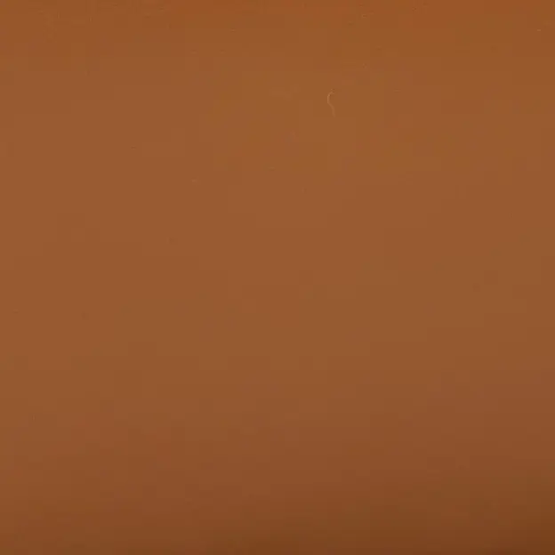 C0019 Brown