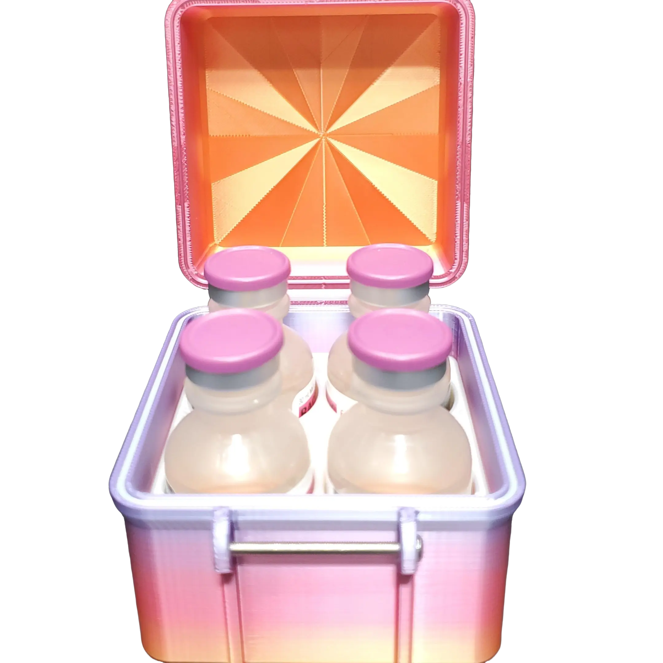 30ml Vial Storage Box | 3D Printed Organizer for Hospira BAC Water & 30ml Peptide Vials | Vial Spike Options | Custom Colors