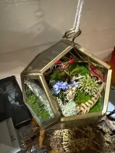 Skydance Hanging Garden – Geometric Terrarium (1 of 3)