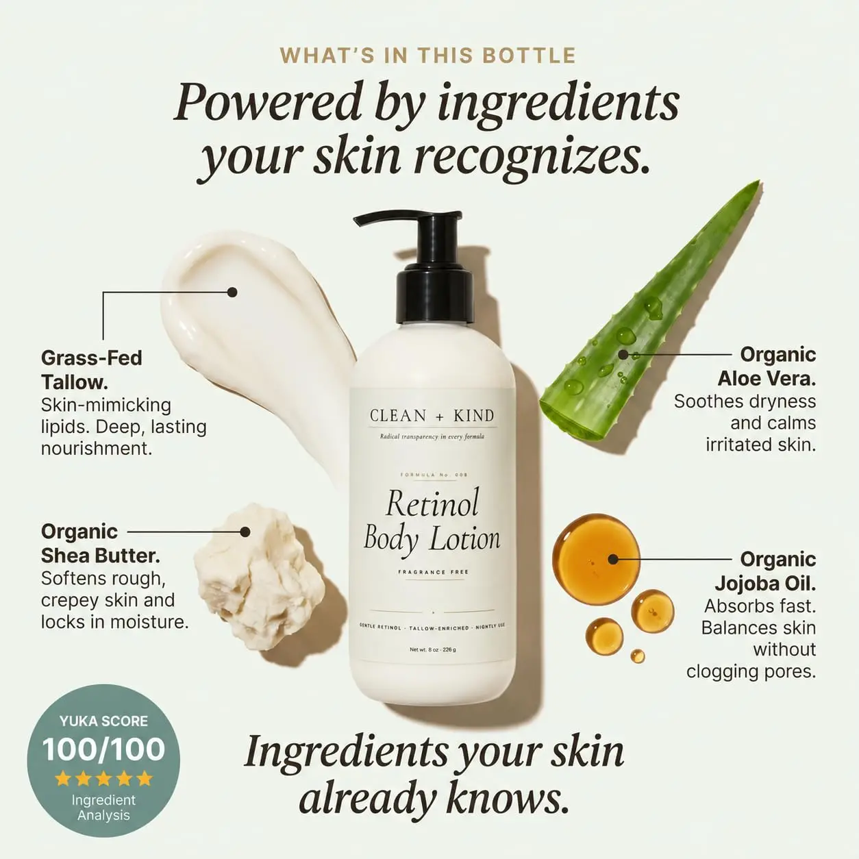 Tallow Retinol Body Lotion, Firming for Crepey Skin, 8 oz | Encapsulated Retinol, Hyaluronic Acid & Niacinamide, Skin Tightening, For Neck Arms & Legs, Fragrance-Free, Grass-Fed Tallow