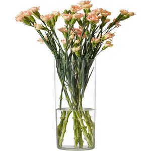 7.86 Inch Acrylic Cylinder Vase - Clear Unbreakable Centerpiece for Weddings & Home Decor (3.94 Inch Diameter) Ornaments