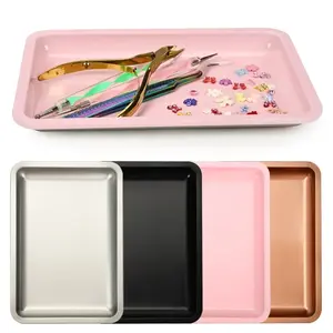 Stainless Steel Cosmetic Storage Tray Nail Art Equipment Plate Doctor Surgical Dental Tray False Nails Dish Tools