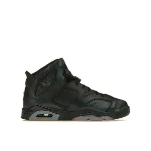 Jordan Kid's 6 Retro All-Star Chameleon (2017), from StockX