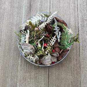 Fairy Garden Terrarium 50 Piece Starter Kit Mini Landscaping Mix with Moss Bark Ferns Mushroom & Berries for Gardening Enthusiasts