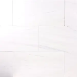 Bianco Dolomite Marble 12x24 Polished/Honed Field Tile