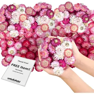 Dried Flower Pink Straw Daisy Biodegradable Confetti - Flower Petals for Weddings, Flower Girl Toss, Wedding Send Off Ideas, Party Table Decoration | Boxed - 8oz (0.5lbs)