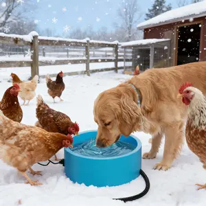 Large Heated Dog Bowls, Waterproof Heated Pet Bowl Heater for Chickens Rabbit Livestocks, Heated Bird Bath for Winter, Automatic No Freeze, Valentines Gift for Pets