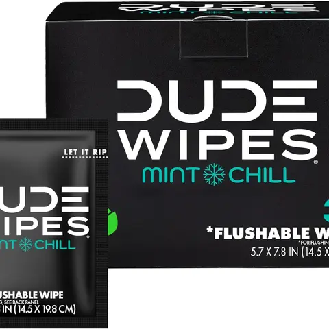 DUDE Wipes - On-The-Go Flushable 30-Count Pack, Mint Chill XL Size Individually Wrapped Adult Options with Eucalyptus & Tea Tree Oil, Septic & Sewer Safe, Wipes to Go