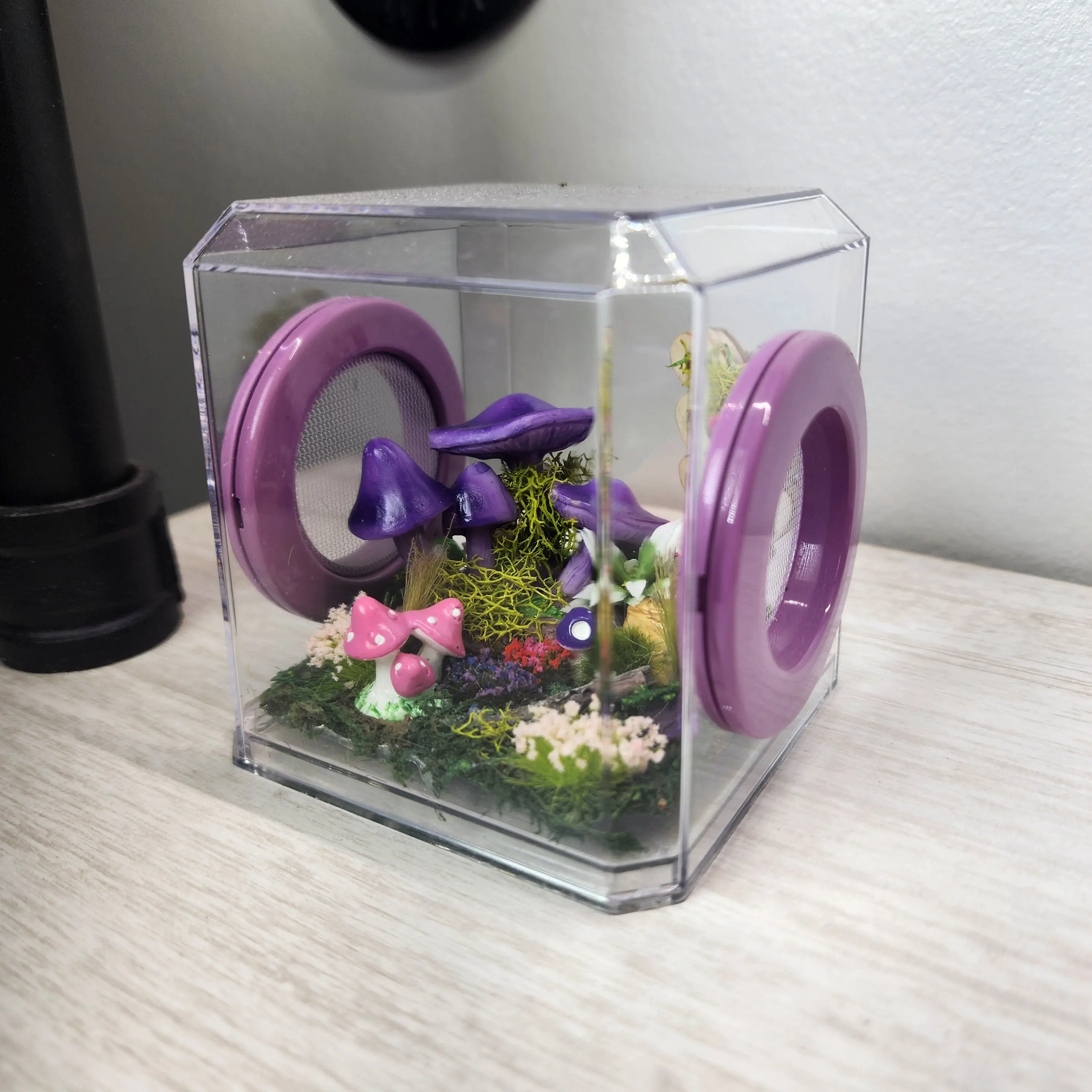 Mini Den Flat Top 3x3x3 Jumping Spider Enclosure (holds fruit flies)