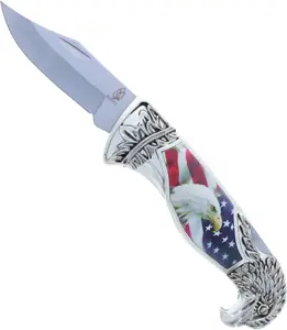 ASR Outdoor Back Lock Folding American Eagle Pocket Knife collection Gift, 8 inch blade