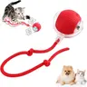 【Black Friday】Electric Rolling Cat Ball Toy with Rope, Interactive Cat Teaser Toy, Automatic Ball Toy, Pet Supply for Dogs & Cats, Interactive Play Toy for Kitty
