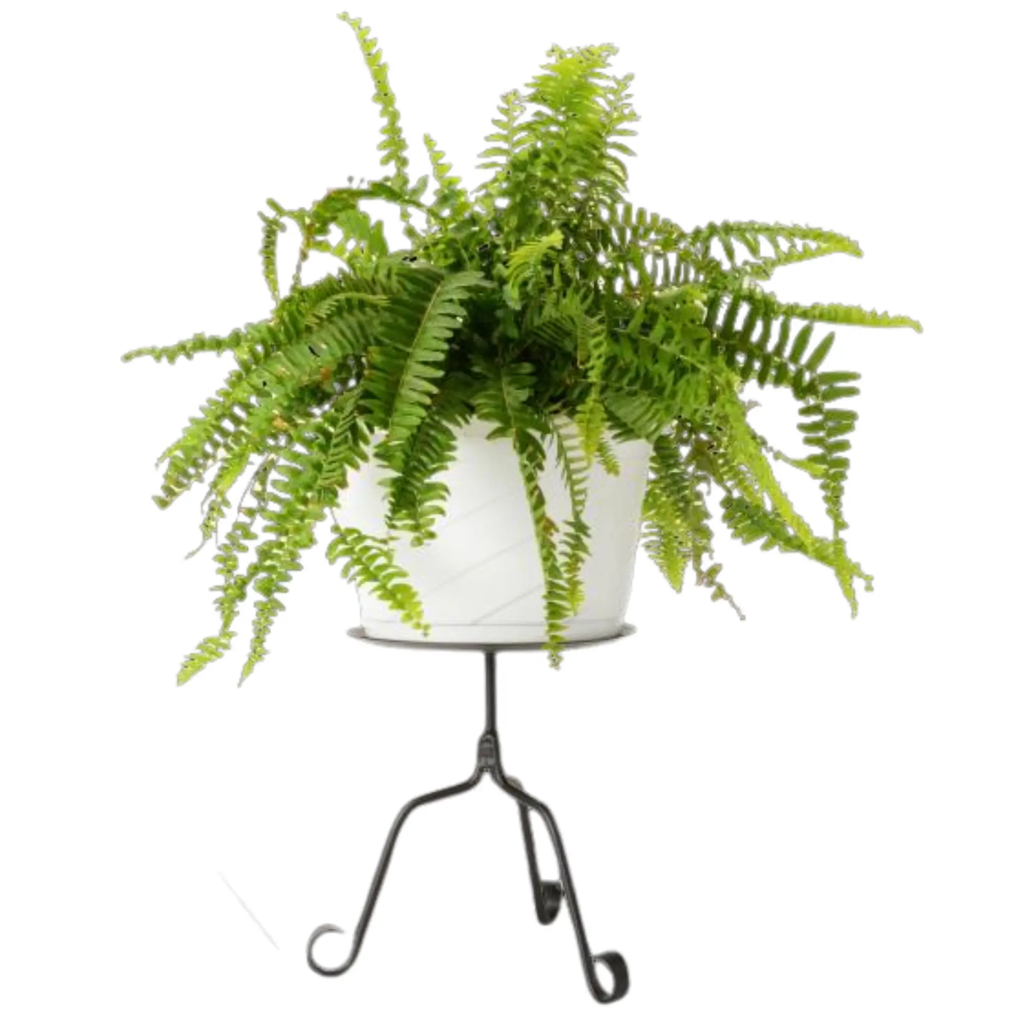 Plant Stand | Flower Pot Holder | Black Metal Planter Stool