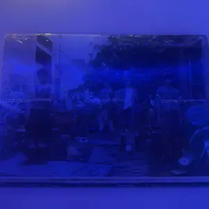 Cortis- Color Outside The Lines