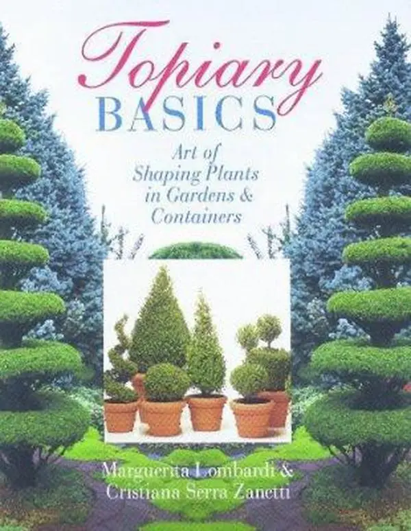 USED Book - Topiary Basics: The Art Of Shaping Plants In Gardens & Containers by Margherita Lombardi (Hardcover) - english