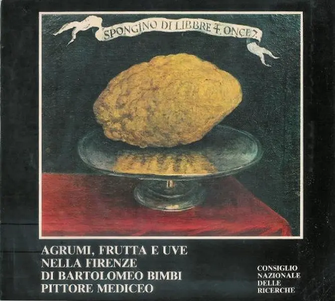 USED-Agrumi, Frutta e Uve Nella Firenze Di Bartolomeo Bimbi Pittore Mediceo by unknown author (Paperback)