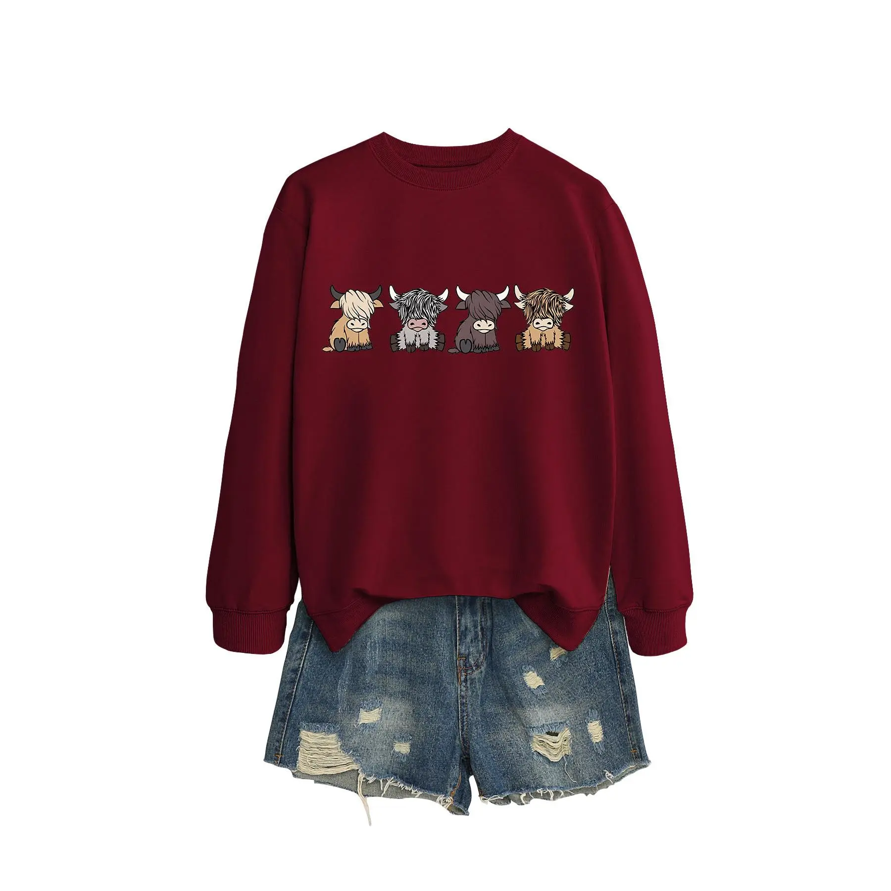 Wine red hoodie (color picture)