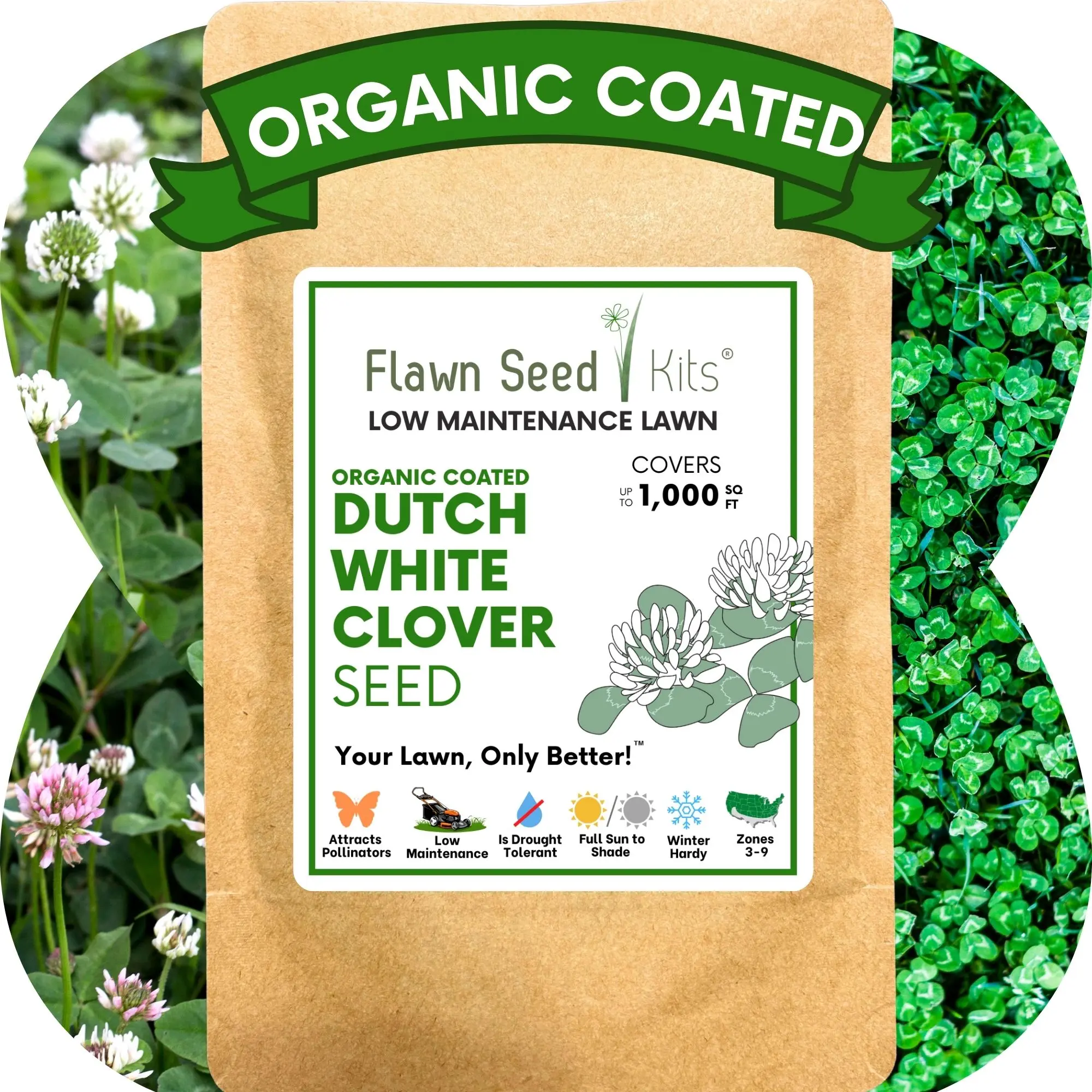 Dutch White Clover Seed Organic Nitrogen Fixer Drought Tolerant Flowering Lawn Seed 250-7,200 SqFt