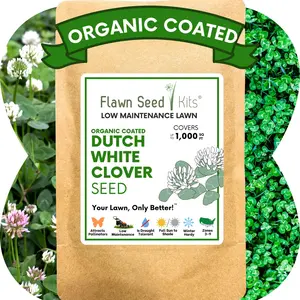 Dutch White Clover Seed Organic Nitrogen Fixer Drought Tolerant Flowering Lawn Seed 250-7,200 SqFt