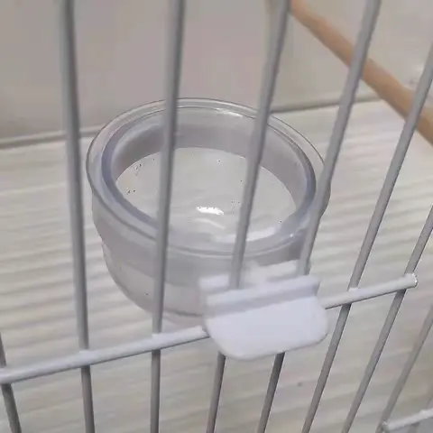 Comedero Colgante de Plástico para Aves