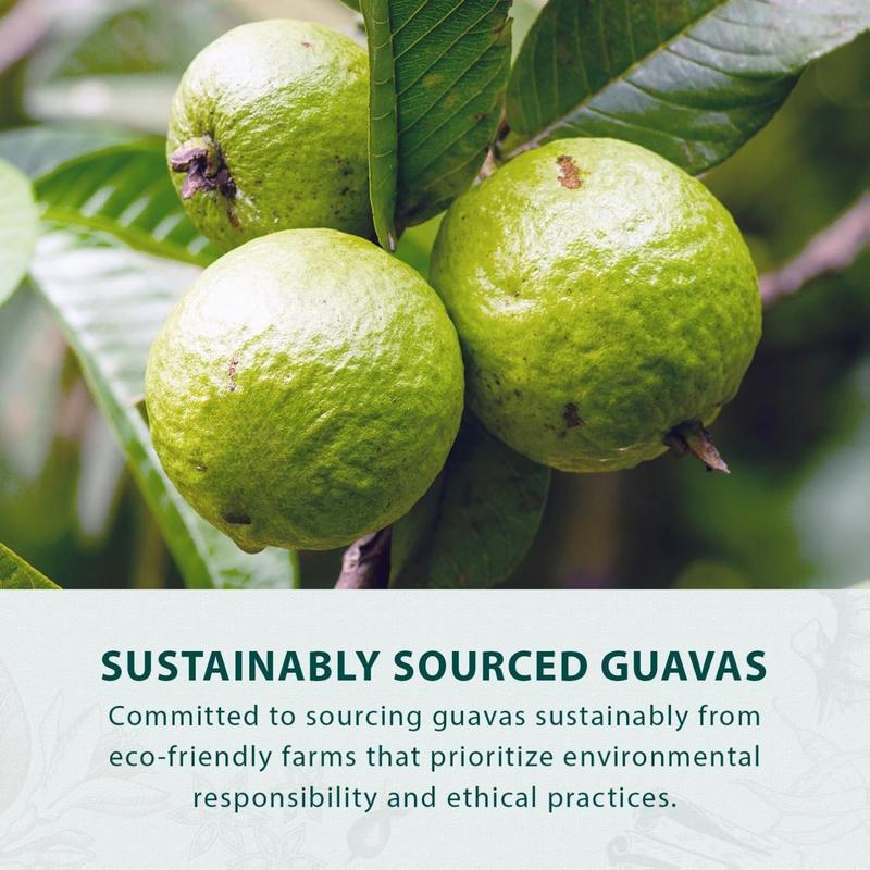 Hongyuan Guava Candy, 12.3 oz (Pack of 2) Asian Fruit Hard Candy, Sweet & Tangy Tropical Flavor, Individually Wrapped for Sharing & Snacking