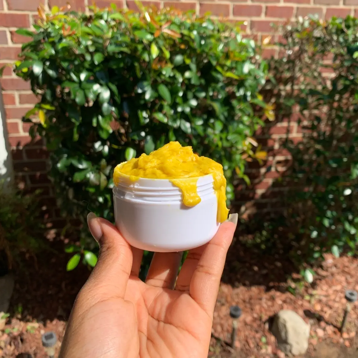 All Natural Body Conditioner Fragrance Free Organic