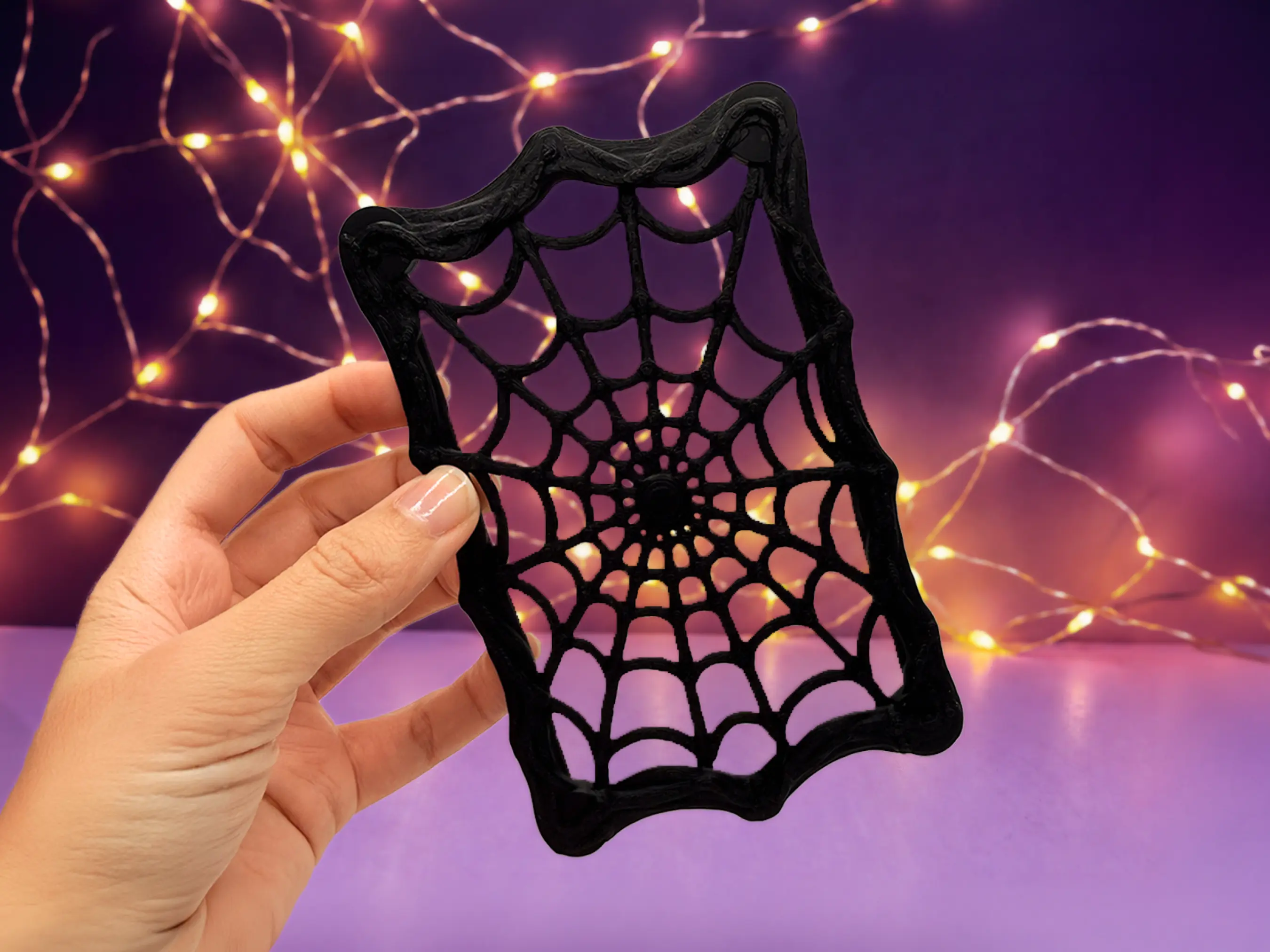 Jumping Spider Climbing Wall | Spider Web Enclosure Decor