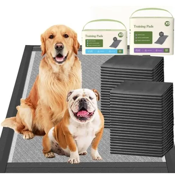 Activated carbon dog training pad, puppy urine pad, disposable deodorizing dog pad, dog training pad, pet pad, leak proof, waterproof design, reliable quality, bacteria and microorganism capture, no fragrance odor neutralization ﻿