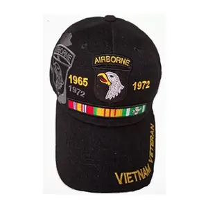 U.S. Army 101st Airborne Division, Vietnam Veteran, Ribbons, black hat