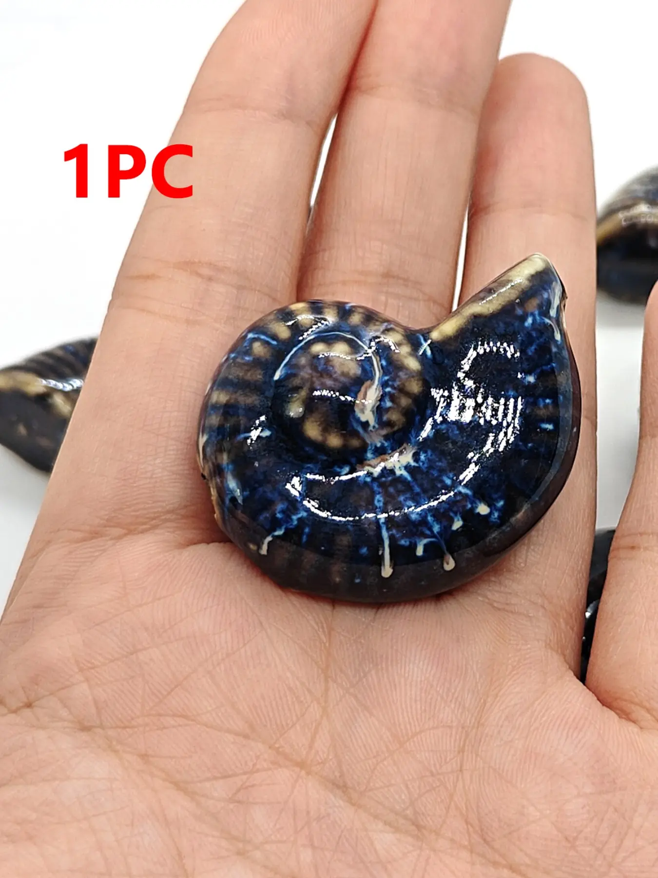 1PC Blue Sea Shell Ceramic Bead, Natural Ocean Style, Handmade DIY Jewelry Accessories, Fashionable Animal Pattern, All Seasons