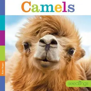 USED-Seedlings Camels by Riggs, Kate (Library Binding)