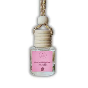 Black Raspberry Vanilla Hanging Car Diffuser - Car Air Freshener