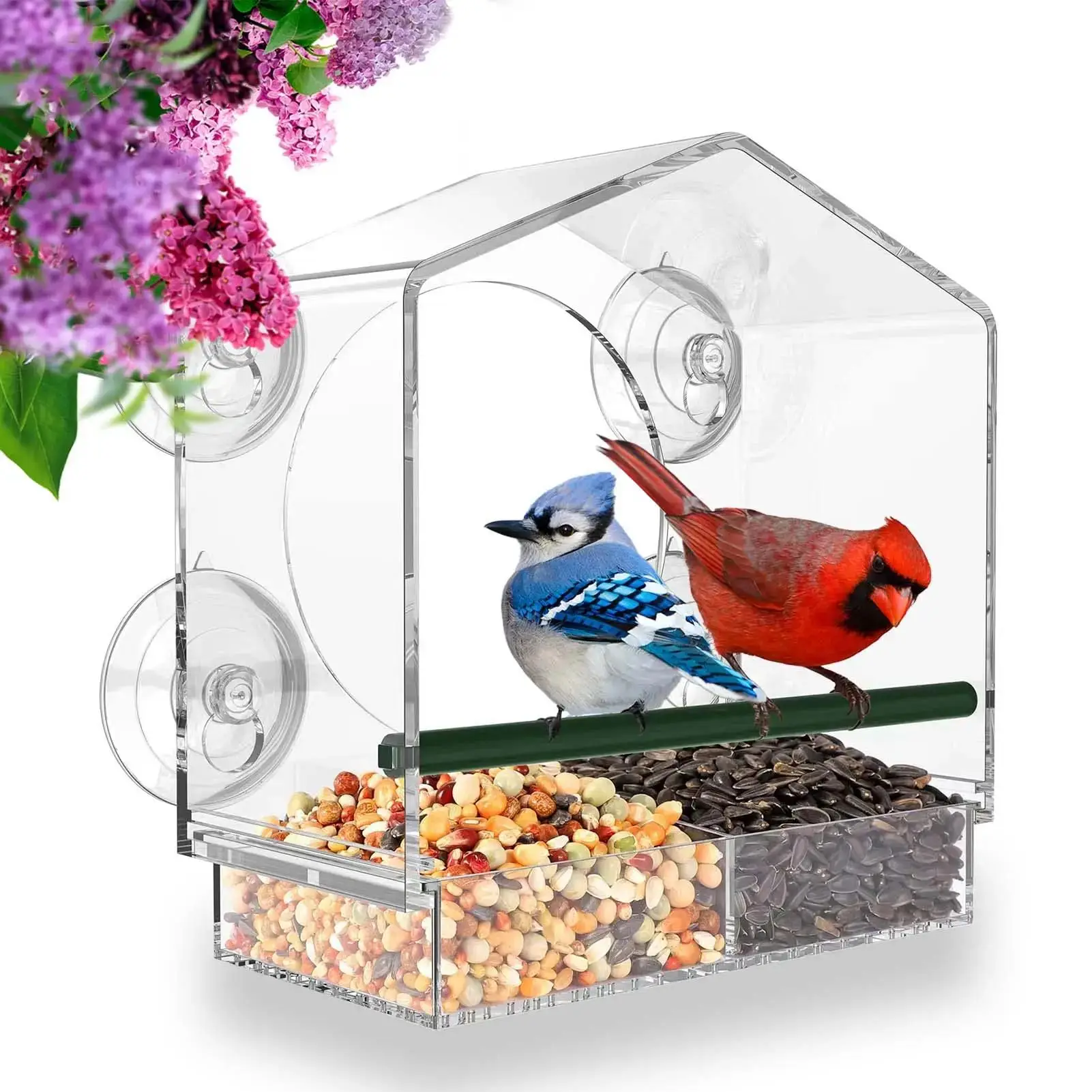 Clear Window Design Bird Feeder, Plastic Bird Food Tray with 4 Strong Suction Cups, Bird Feeding Tool for Outside