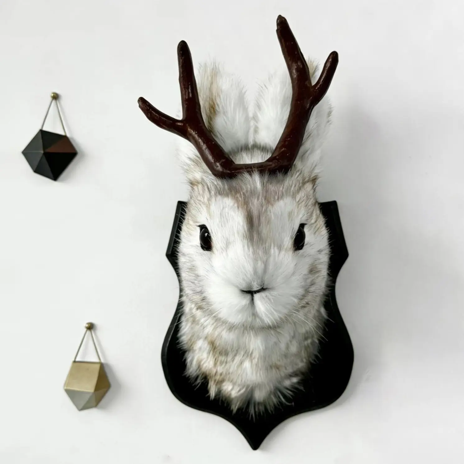 1count Jackalope Head Resin Wall Hanging Decor, Interior Wall Decor, Wall Art Hanging, Animal Specimen Style Home Decoration, Unique Gift Idea, Wall Mounted Ornament