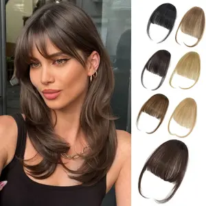 Clip In Bangs Human Hair Wispy Bangs Hair Clip Human Hair Bangs Faux Bangs Clip On Bangs For Women Fake Bangs Fringe With Temples Hairpieces Daily Wear Curved Bangs