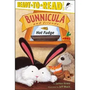 HOT FUDGE: READY-TO-READ LEVEL 3