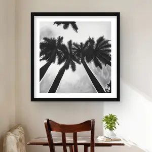 Begin Home Decor C1FM2424TF7XKK 24 x 24 in. Monochrome Palm Trees - Bedroom Beach Framed Print Wall Art for Decor