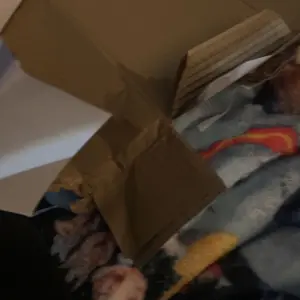 Product Review of Front & Inside Dashcam for Car with 32GB Memory Card, Wide-Angle Dual-Lens 1080P HD Driving Recorder with IR Night Vision & 3.16-inch IPS Screen, Ideal for Fall and Birthday Gifts #TOP PICKS from P**y P**d