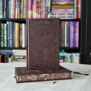 Bookshops and Bonedust LitJoy Edition